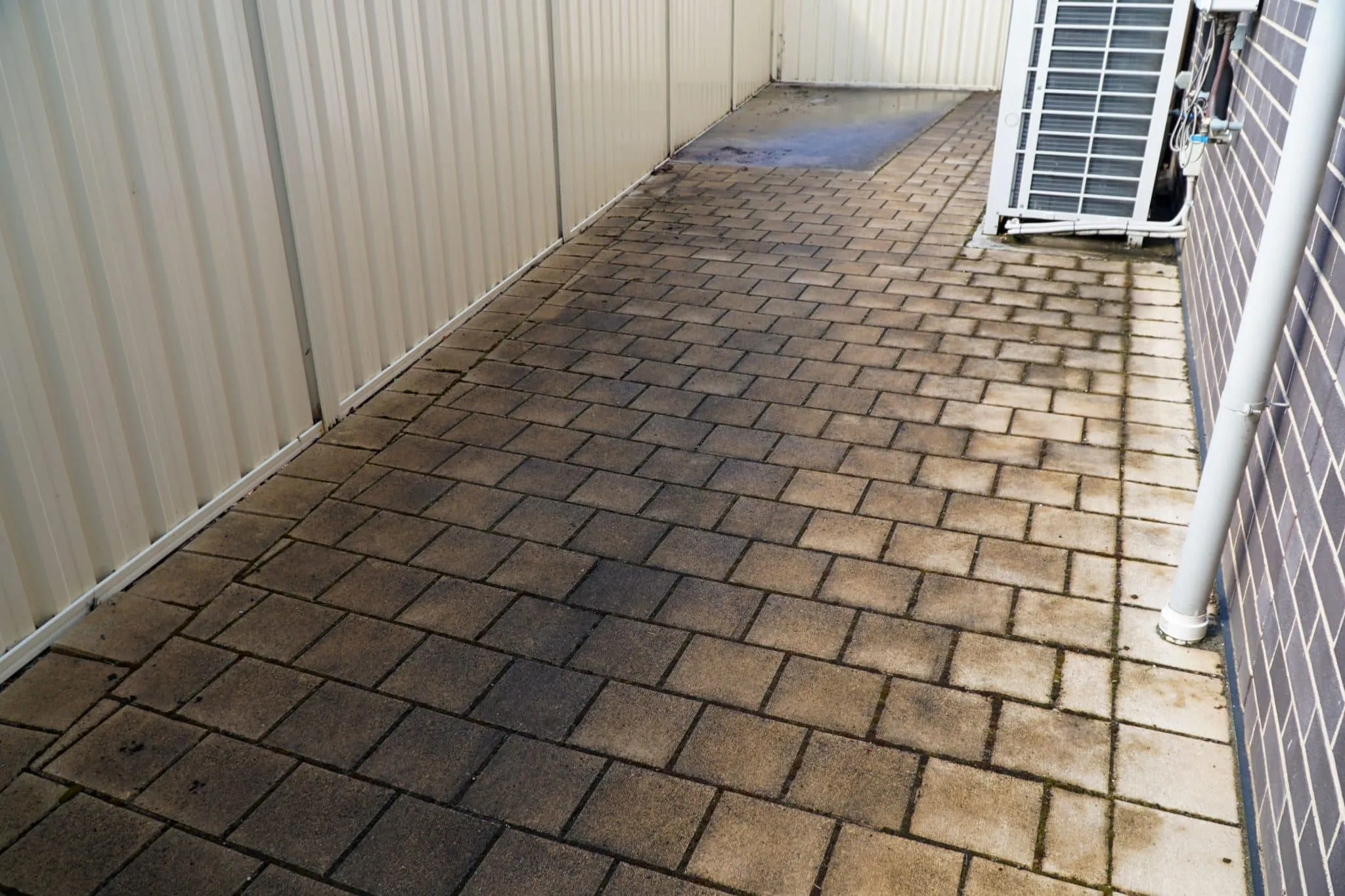 Before cleaning: concrete paving area surrounded by greenery in a backyard setting