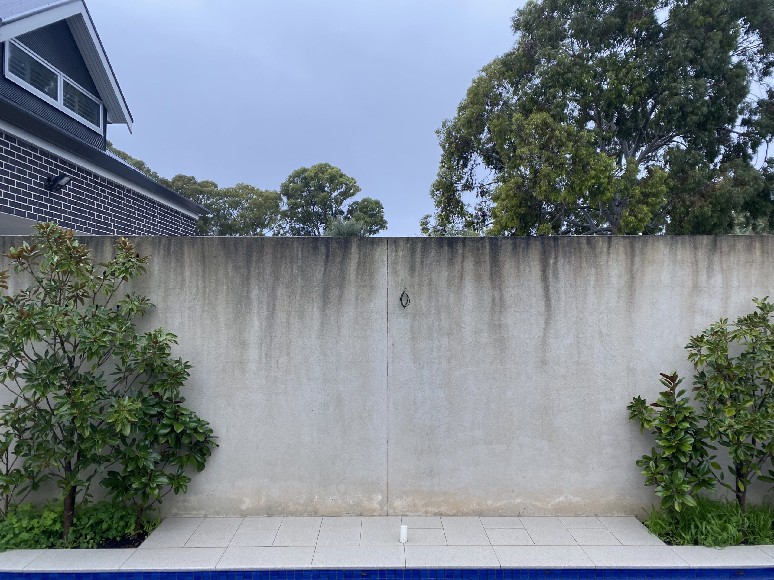 20220811 224653847 iOS scaled