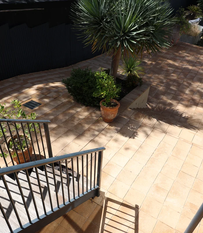 Clean golden pavers beside a garden bed with a spiky palm-style plant after pressure washing