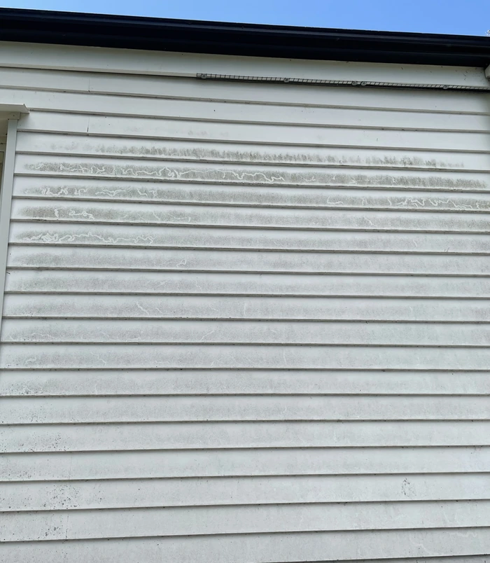 Grimy weatherboard cladding with dark streaks and mould, before pressure washing