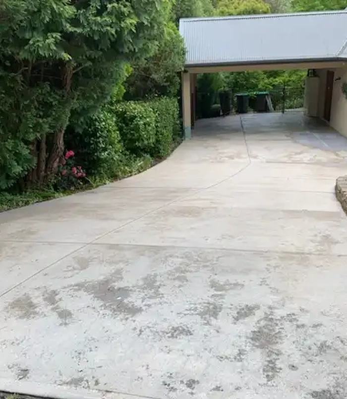Pale, weathered concrete driveway curving toward a carport beside a hedge, before resurfacing