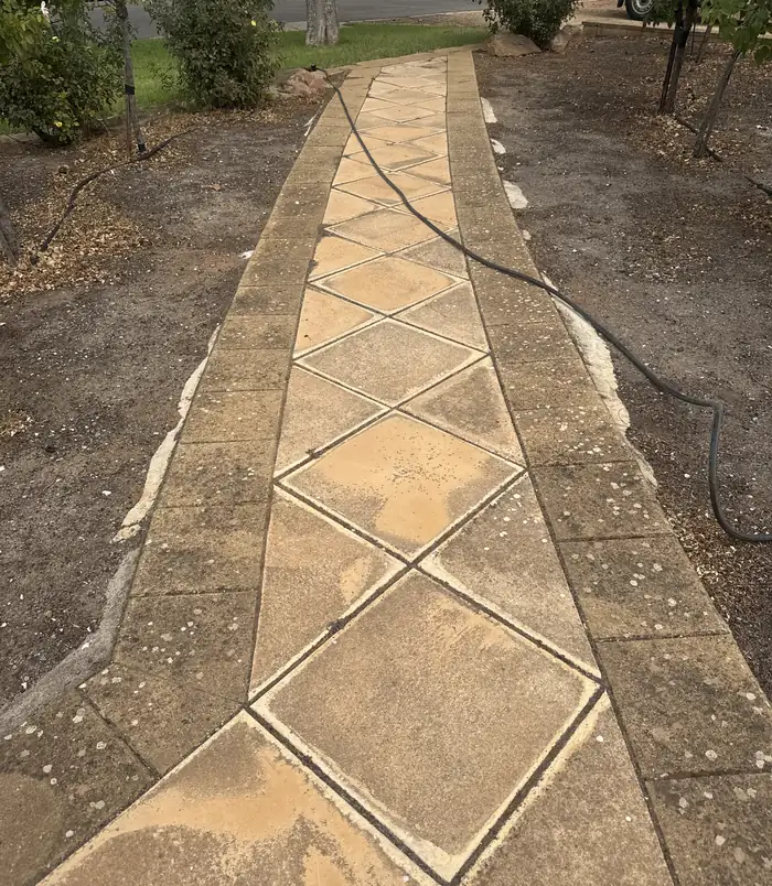 Dull, stained diamond-pattern paver path through a garden, before pressure washing