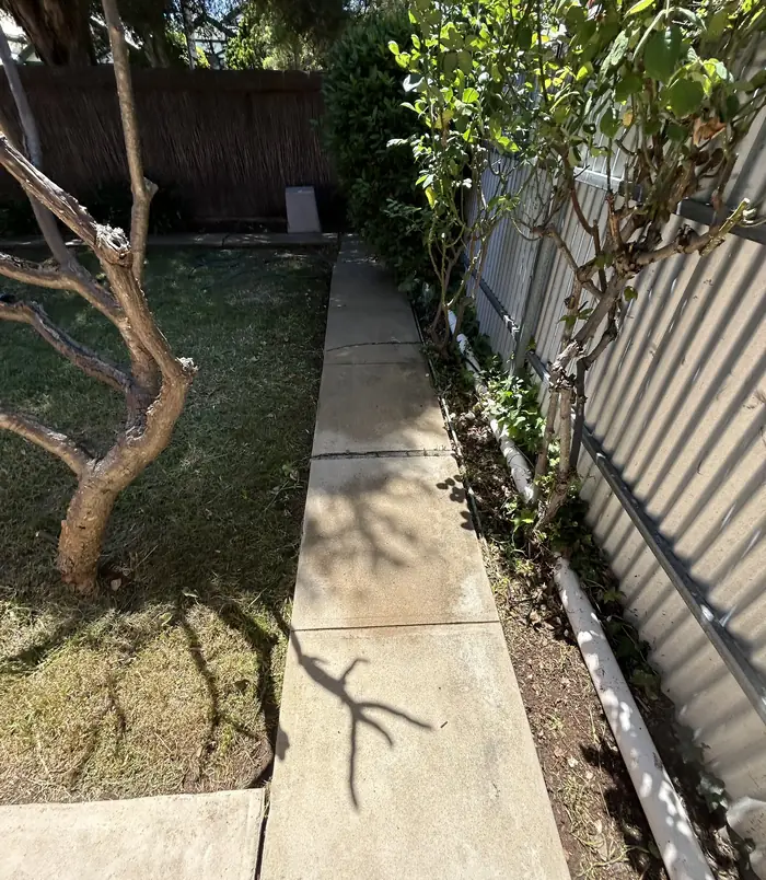 Pale, worn concrete path through a garden beside a metal fence, before concrete resurfacing