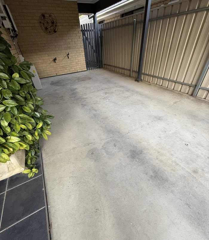 Pale, worn concrete courtyard beside a fence and plants, before concrete resurfacing