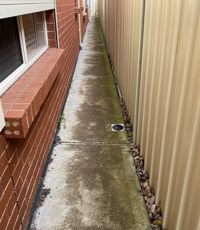 Damp, grimy concrete side path between a brick wall and a tan fence, before pressure washing