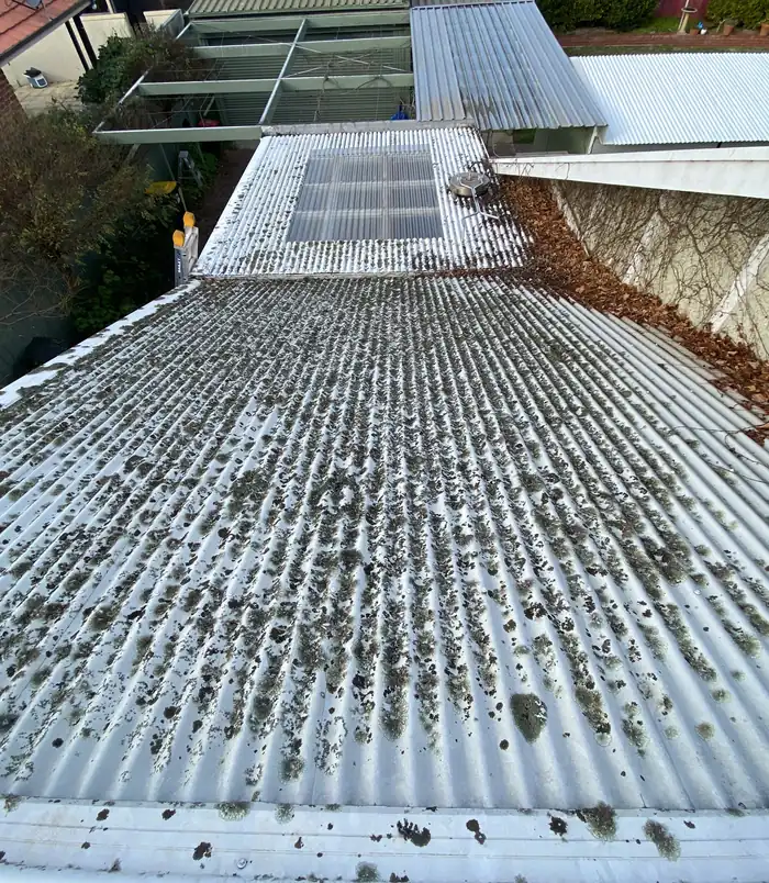 Corrugated roof sheeting covered in dirt, moss and debris, before pressure washing