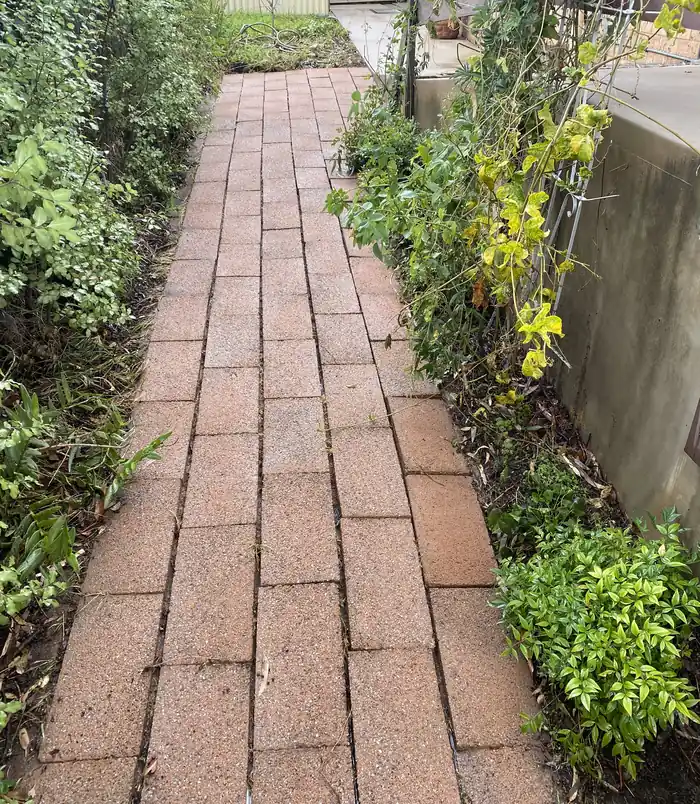 Narrow brick paver path beside a garden, clean and restored to a warm red colour after pressure washing