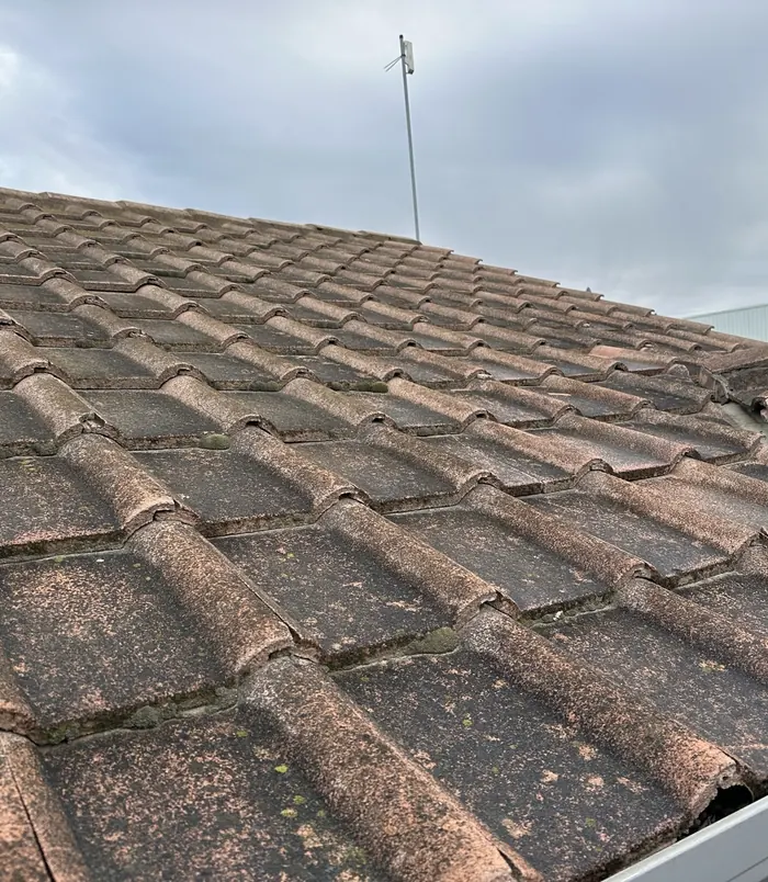 Terracotta roof tiles dulled by dirt and lichen under a cloudy sky, before pressure washing