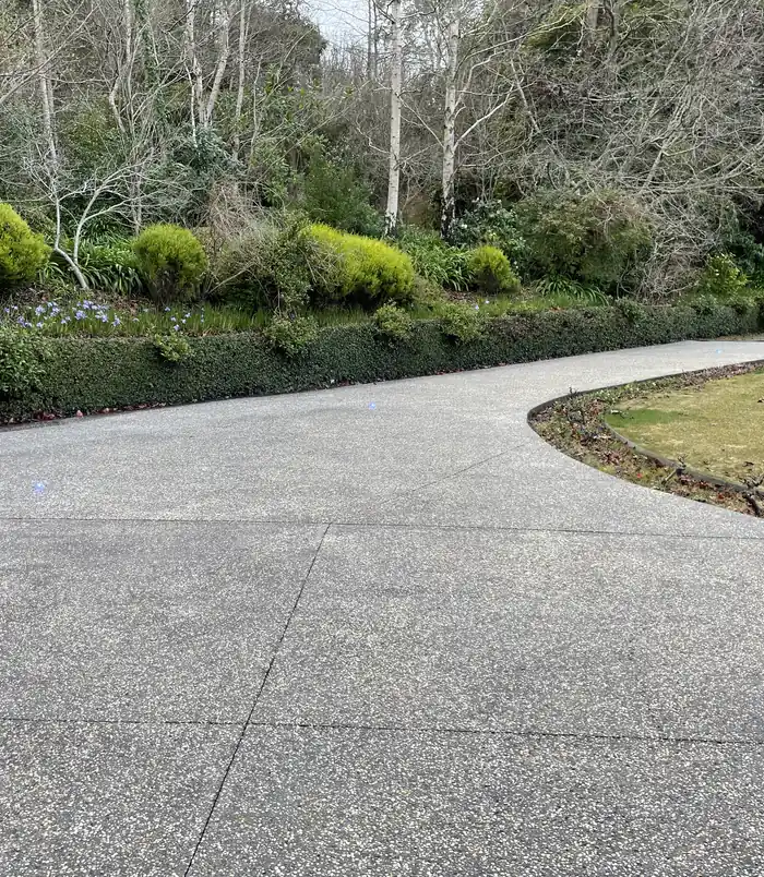 Curved exposed aggregate driveway with a clean, even finish beside a green hedge after pressure washing