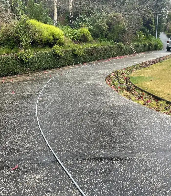 Curved exposed aggregate driveway looking dull and weathered beside a green hedge, before pressure washing