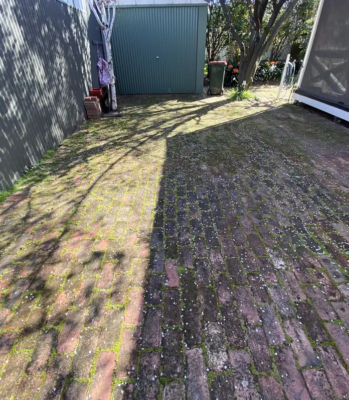 Faded, moss-covered brick pavers in a shaded courtyard beside a green shed, before pressure washing