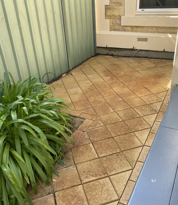 Clean, warm-toned pavers in a courtyard beside a green fence and plants after pressure washing