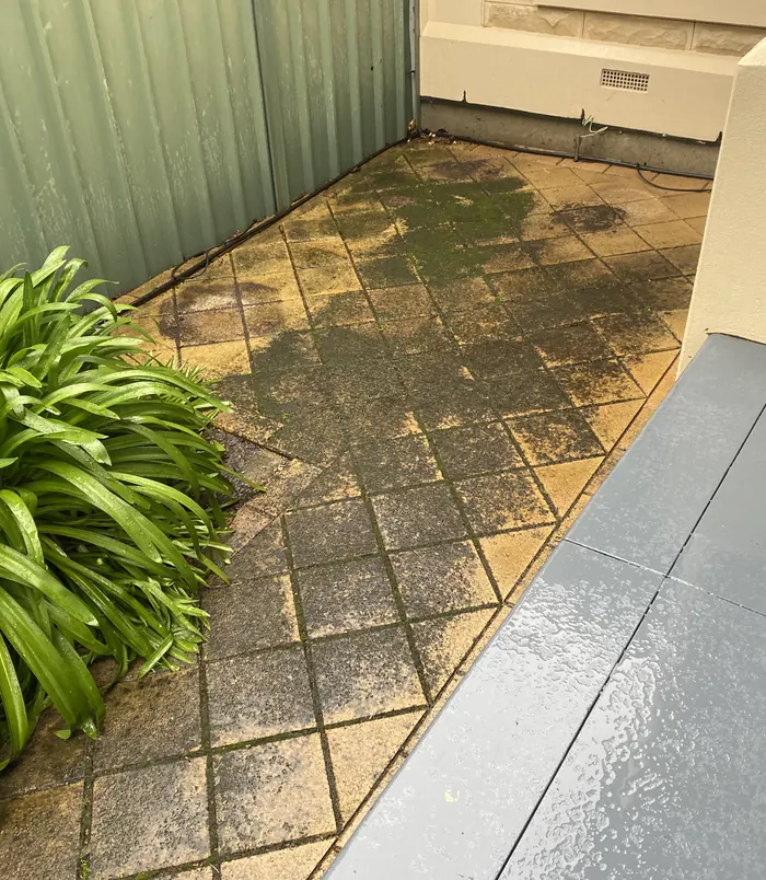 Dark, algae-stained pavers in a courtyard beside a green fence and plants, before pressure washing