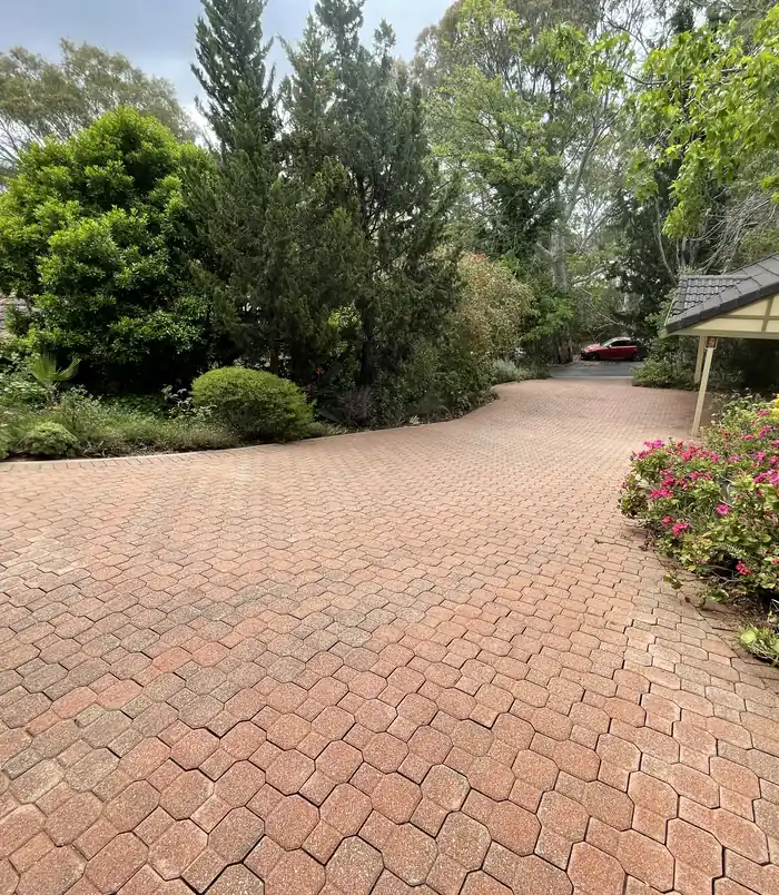 Brick paver driveway curving past trees and garden, restored to a clean terracotta colour after pressure washing