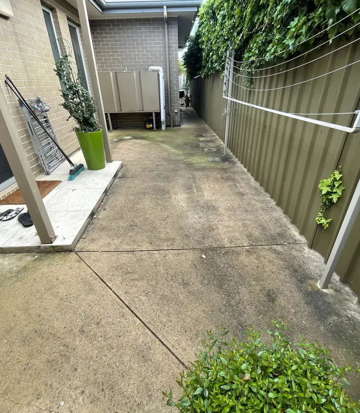 Grimy concrete side path between a house and a green fence, before pressure washing
