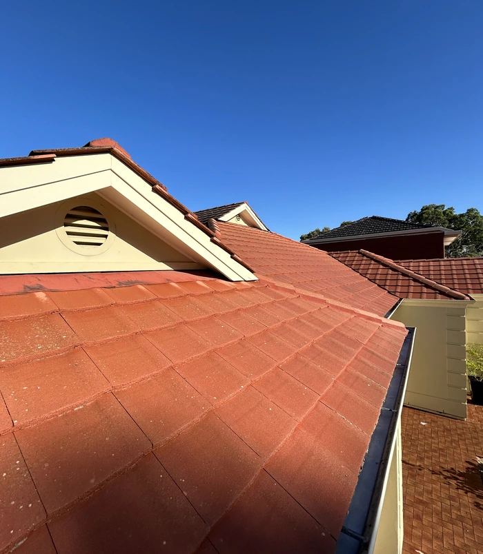 Clean terracotta roof tiles with a vibrant orange-red colour under a blue sky after pressure washing