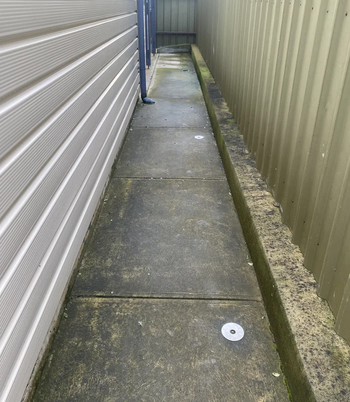 Concrete side path beside a house wall and fence, dirty and stained, before pressure washing