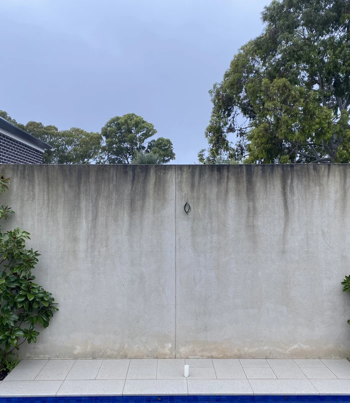 Rendered boundary wall streaked with dark grime and staining, before pressure washing