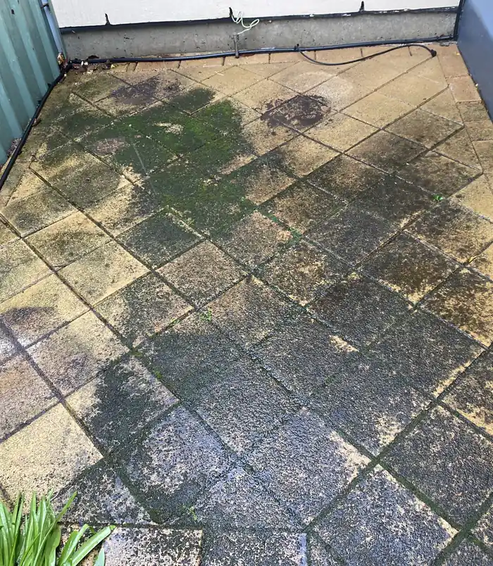 Square pavers covered in green moss and black mould in a courtyard, before pressure washing