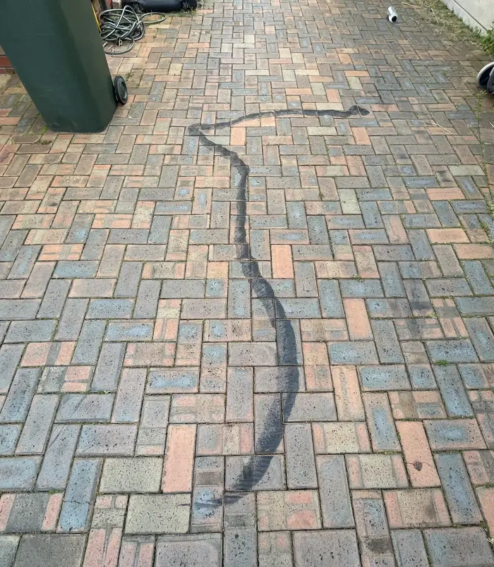 Dirty, dull brick paver path before pressure washing