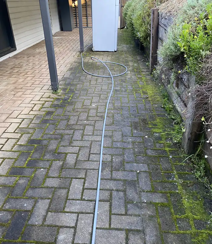 Moss-covered brick paver path beside a fence and garden bed