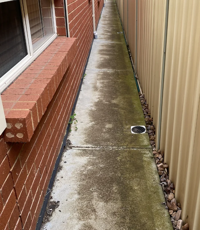 Dirty, algae-stained red brick paving beside a sandstone house, before paver cleaning