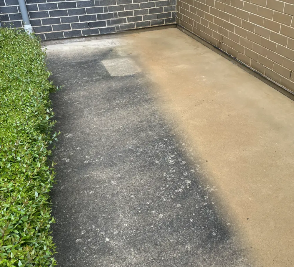 Concrete path beside a dark brick wall and hedge, with a cleaned section showing lighter concrete