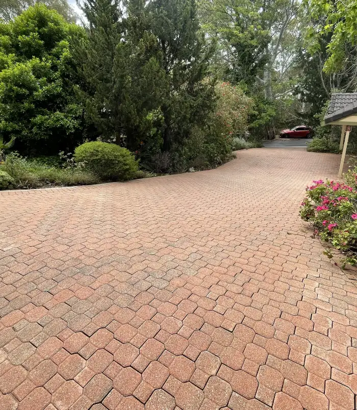 Brick paver driveway curving past trees and garden, restored to a clean terracotta colour