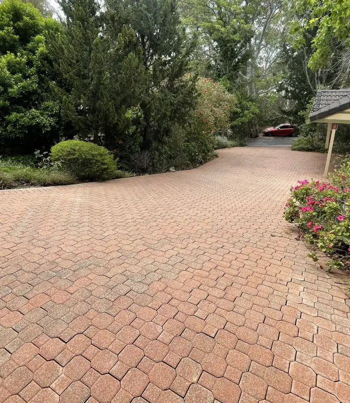 Brick paver driveway curving past trees and garden, restored to a clean terracotta colour after pressure washing