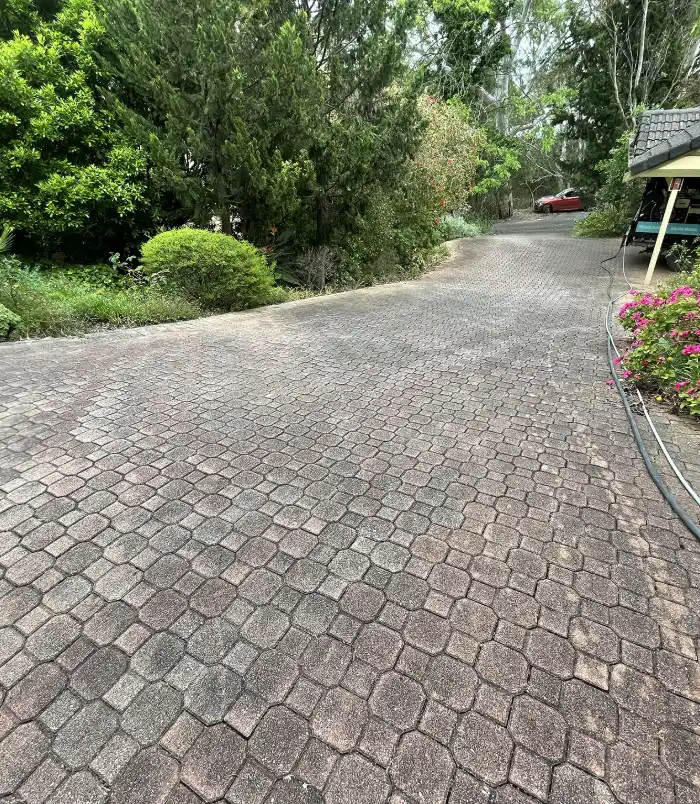 Dull, weathered brick paver driveway curving past trees and garden, before pressure washing
