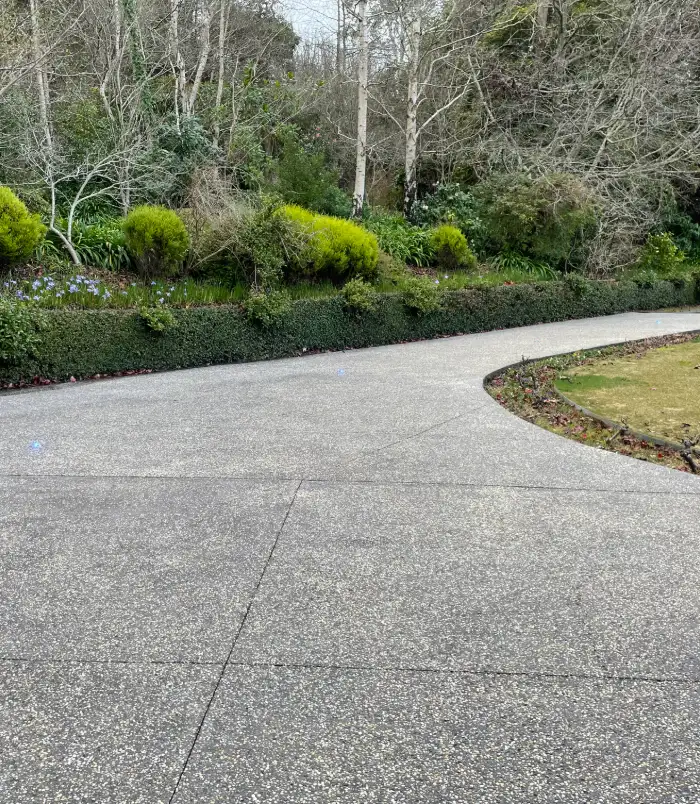 Curved exposed aggregate driveway after sealing, with a clean, even finish beside a green hedge