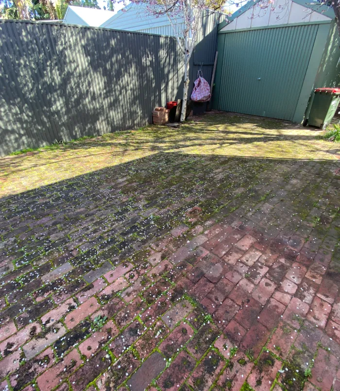 Faded brick pavers before sealing, covered in dirt and moss in a courtyard